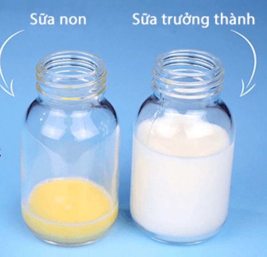 Sử dụng sữa non có cần sử dụng thêm sữa công thức không? hình 3