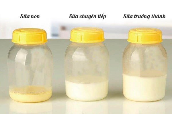 Giá trị dinh dưỡng của sữa non không phải ai cũng biết hình 4