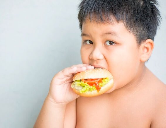 Nguyên nhân gây ra béo phì ở trẻ em hiện nay hình 4
